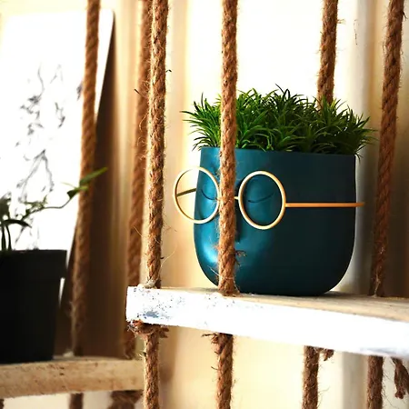 アパート Super Cozy In The Heart Of *